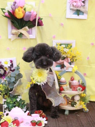 20230309ディロンくん